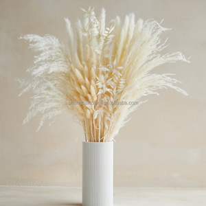 Vente chaude 15 tiges naturelles séchées blanches petites fleurs séchées <span class=keywords><strong>pampas</strong></span> blanchies herbe de pampa pour la décoration de la <span class=keywords><strong>maison</strong></span> de mariage - Product Image 6