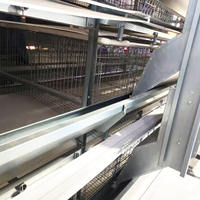 Nouveau système d'élevage avicole de type H haute résistance avec ventilation automatique pour poulets de chair et poules pondeuses, pour poulaillers, Raisetech, galvanisé à chaud