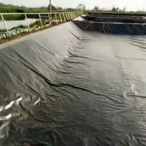Yüksek Performanslı 1mm HDPE Geomembran, Açık Hava Balık Yetiştiriciliği İçin Yüksek Jeoteknik Güçlendirme - Product Image 6