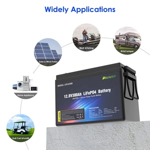 Batterie solaire DELONGTOP LFP rechargeable à décharge profonde avec BMS 12,8 V 300 Ah, batterie de stockage d'énergie lithium-ion 12 V LFP12300 - Product Image 2