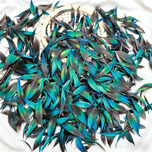 Plumes de paon irisées rigides de 3-7 cm – Pointes de plumes teintées bleu-vert coupées pour costumes, artisanat et chapellerie - Product Image 6