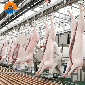 Soluzione Chiavi in Mano per Mattatoio Suinicolo, Linea Completa di Lavorazione e Macchinari per Macellazione Suini Completamente Automatici, Certificazione CE - Product Image 1