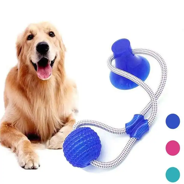 Pet Toys with Suction Cup Dog Push Toy with TPR Ball Pet Tooth Cleaning  Chewing Rubber Dog Toys for Small Dogs Rubber Dog Toy