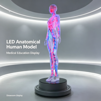 Modèle de simulation réaliste personnalisé
