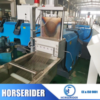 Ligne de Production de granulés en plastique, 500g, Pp Pe Pet recyclage des granulés, prix de Machine