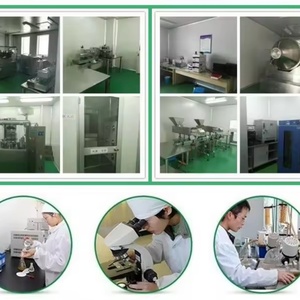 Extracto de Planta, Venta Directa de Fábrica, Polvo de Resveratrol de Alto Contenido, Cápsulas y Tabletas - Product Image 6