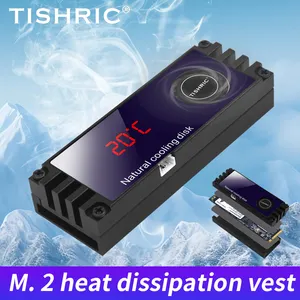 TISHRIC M2 SSD Heatsink Cooler Turbo Cooling Fan Radiator Temperature Display 2280 22110 NVMe NGFF for M2 Solid State Drive