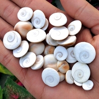 Pierre naturelle Œil de Shiva, Gemme précieuse Gomti Chakra, 5-15mm, Forme irrégulière, Certifiée par un tiers, Vente en gros, Feng Shui