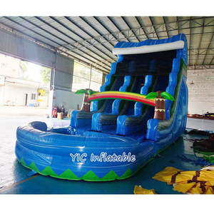 Tốt nhất người bán Inflatable cây cọ trượt nước cầu vồng Ngoài Trời Màu xanh đôi Lane trượt nước với hồ bơi cho sân chơi chơi - Product Image 5