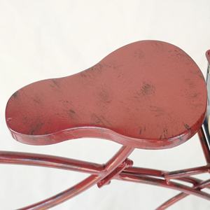 Jardinières de fleurs de vélo en fer forgé nouveaux pots en métal enduit de poudre pour utilisation de pépinière de maison de jardin intérieur et extérieur - Product Image 4