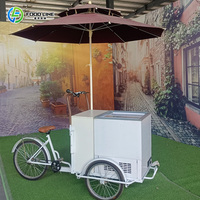 Cateringbar, fruitkraam, mini mobiele keuken, ijskar, op maat gemaakte mobiele hotdogkar, foodtrailer