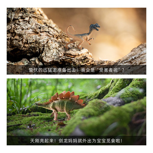 Grand jouet Tyrannosaurus <span class=keywords><strong>Rex</strong></span> réaliste en caoutchouc souple, figurine animale pour garçons - Product Image 6