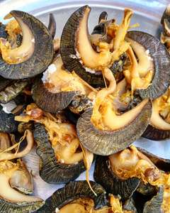 Vente en gros d'escargots géants africains séchés Viande d'escargot gastronomique transformée de qualité supérieure Offre directe d'usine d'aliments naturels à haute teneur en protéines pour l'exportation - Product Image 6