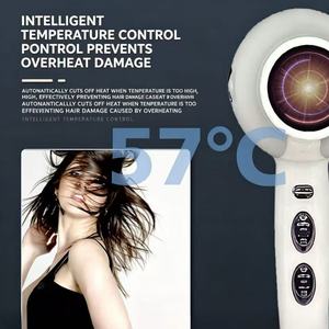 Secador de Pelo Profesional Eléctrico de 2400W con Motor AC Iónico, Plegable, Compacto, Temperatura Constante, para Salón, Hotel y Uso en Exteriores - Product Image 4