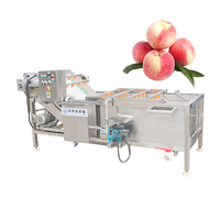 Laveuse et Sécheuse Industrielle Haute Efficacité pour Fruits et Légumes (Pommes, Raisins, Carottes) avec Ozone - Prix