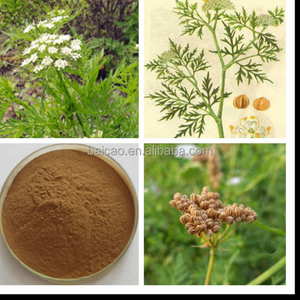 En kaliteli sağlık gıda katkısı doğal <span class=keywords><strong>Osthole</strong></span> ile Cnidium Monnieri meyve özü tozu - Product Image 2