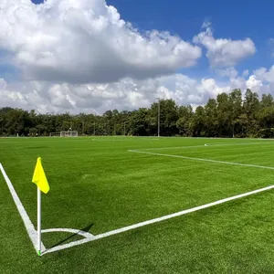 Thảm cỏ nhân tạo cho sân vận động bóng đá với chất lượng cao