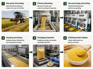 <span class=keywords><strong>Miglio</strong></span> Giallo Essiccato Ricco di Selenio della Mongolia Interna 250g Nuovo Raccolto Grado Autentico per Porridge Confezionato Sottovuoto Confezione Bulk Cereali Integrali - Product Image 5