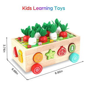 Jouets éducatifs en bois Montessori pour bébés garçons et filles de 1, 2 et 3 ans, jouets de tri de formes, cadeaux d'anniversaire pour enfants - Product Image 2