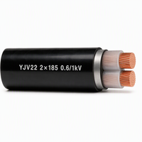 Câble d'alimentation blindé en cuivre à grande section YJV22 0.6/1kV 2 conducteurs 185mm² 300mm² isolé XLPE pour courant élevé 2*185