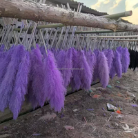 Grosir rumput pampas besar dekorasi pernikahan buket bunga kering alami bunga dekorasi