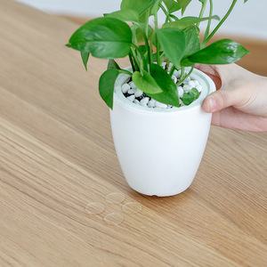 Transparent Double Sided Adhesive Round Dots Waterproof Strong Hold Household Use - Product Image 2