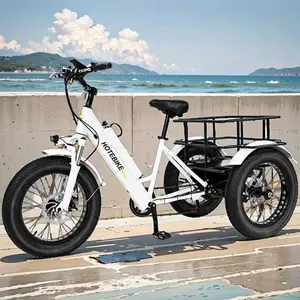 批发750w 500W 3轮ebike 20英寸胖轮胎货物电动三轮车48v电动三轮车