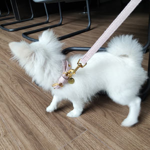 Conjunto de Correa y <span class=keywords><strong>Collar</strong></span> para Perro Personalizado de Moda en Algodón y Lana para Perros - Entrenamiento y Uso en Exteriores - Product Image 1