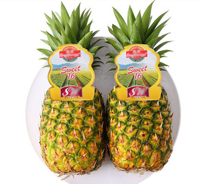 High Performance Water-Resistant Custom Round <strong>Printed</strong> Fruit Label <strong>Sticker</strong> Made From Copper High Cost Performance - Product Image 1