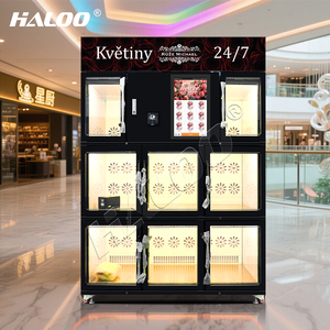 Máquina Expendedora de Flores Haloo de Gran Tamaño con 8 Casilleros para Venta de Regalos Florales, La Máquina Más Popular 2025 - Product Image 1