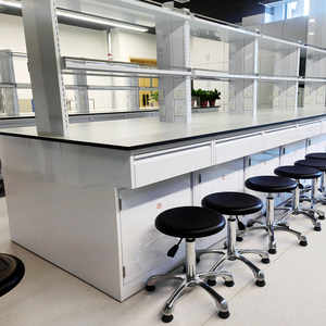 Banco da Laboratorio Moderno in Metallo con Armadietti Rimovibili, Superficie in Resina Epossidica Antigraffio e Resistente, Arredamento per Laboratorio - Product Image 5