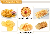 Automatische Chinese Bevroren Frietjes Lijn Gebakken Kippenvlees Snack Aardappelchips Maken Machine Fruitgroentemachines