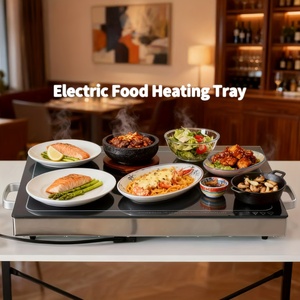 Universal Food Board Commercial Hot Plate With Coil Heating 500W <b>Timer</b> Child Lock for Hotel & Use High-Power Design 500W Power E - Product Image 1
