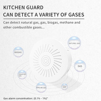 Détecteur d'alarme de gaz GPL intelligent sans fil Détecteur de fuite 85dB WIFI TUYA Détecteur de fuite de gaz naturel multiple Système d'alarme incendie