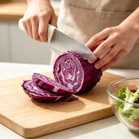 Ensemble de couteaux de chef Fulwin en acier inoxydable avec lames de 8 pouces, manches souples, couleurs personnalisées, couteaux ambidextres durables