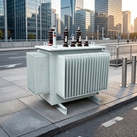 Transformateur de distribution de puissance triphasé immergé dans l'huile Taishun S11 50 kVA 50/60 Hz 6,3 kV 10 kV
