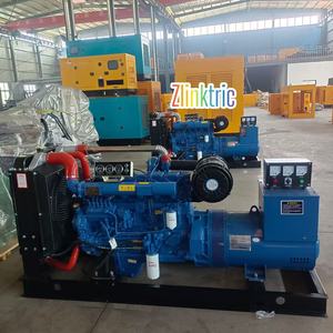 Groupe électrogène diesel silencieux industriel 251G/Kwh, faible consommation de carburant, alimentation de secours pour projet minier - Product Image 5