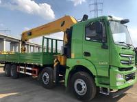 Grue à flèche télescopique montée sur camion de haute qualité SQ12SK3Q 12 tonnes
