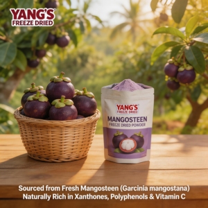 ผงมังคุดอบแห้ง 100% บริสุทธิ์ ไม่มีสารเติมแต่ง เกรดอาหาร แอกซานโทนส์สูง ละลายน้ำได้ อาหารเพื่อสุขภาพ บรรจุภัณฑ์ขนาดใหญ่ สำหรับส่งออก - Product Image 2