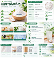 Lactate de magnésium en poudre de qualité alimentaire, haute pureté, fourni par l'usine, matière première fortifiante minérale pour les boissons