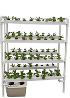 Système de culture hydroponique verticale NFT du fabricant, grand kit de jardinage domestique en PE pour balcon, 64 trous pour légumes-feuilles