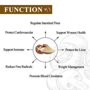 Органический экстракт грибов шиитаке, полисахарид, низкая цена, порошок для плодового тела, натуральный экстракт лентинуса эдаода - Product Image 2