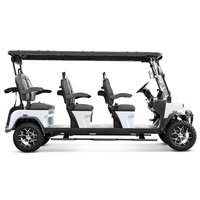 Voiturette de golf électrique Denago 2025, nouvelle conception chinoise, 5 kW, 6 places, batterie au lithium 48 V, utilitaire, haute qualité