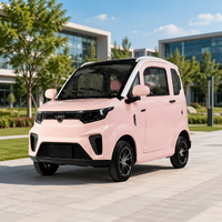 Voiture électrique miniature avec une autonomie de 100-140 km, moteur de 3000 W pour les trajets quotidiens, vente en gros directe d'usine, garantie d'un an