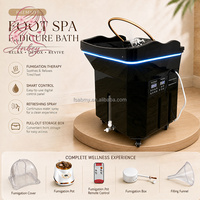 Bassin de lavage portable avec réservoir d'eau et système de circulation, évier amovible pour le lavage des cheveux, idéal pour les équipements de spa capillaire et de salon.