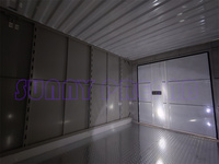 Conteneur de stockage préfabriqué en usine Conteneur mobile pliable empilable paquet plat de stockage portable PODS de stockage auto-stockage