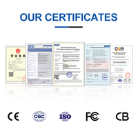 Compteurs de billets portables, compteur de tickets de caisse pour le commerce de détail, affichage LCD, machine de comptage d'argent multi-devises