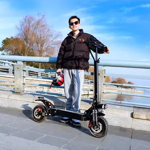 Good Selling Dual Motor Off Road electric scooter 2000W 11Inch Air Tire fast electric scooter with New Street Art-Inspired Look