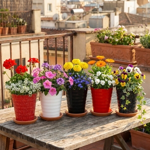 PP Flower <b>Pots</b> for Home Indoor Use Lightweight Design <b>Small</b> Size Modern Minimalist Plastic Planters White and Black - Product Image 6