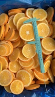 YOKID IQF Diepvries Sinaasappelschijfjes HACCP Gecertificeerd Groothandel Diepvries Fruit voor Decoratie in Dranken, Taarten & Cocktails